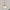 Crystal Vintage Pendant Lights