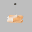Ceiling Lights Hanging Lamp