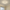 Dimmable LED ceiling light Elegant lighting for the living room, dining room and hallway