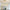 Modern Multi-Head Glass Pendant Light – Nordic Style Hanging Fixture