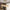 Modern Multi-Head Glass Pendant Light – Nordic Style Hanging Fixture