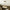 Modern Multi-Head Glass Pendant Light – Nordic Style Hanging Fixture