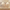 Cream Petal Fabric Chandelier LED Pendant Light