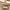 Modern Multi-Head Glass Pendant Light – Nordic Style Hanging Fixture