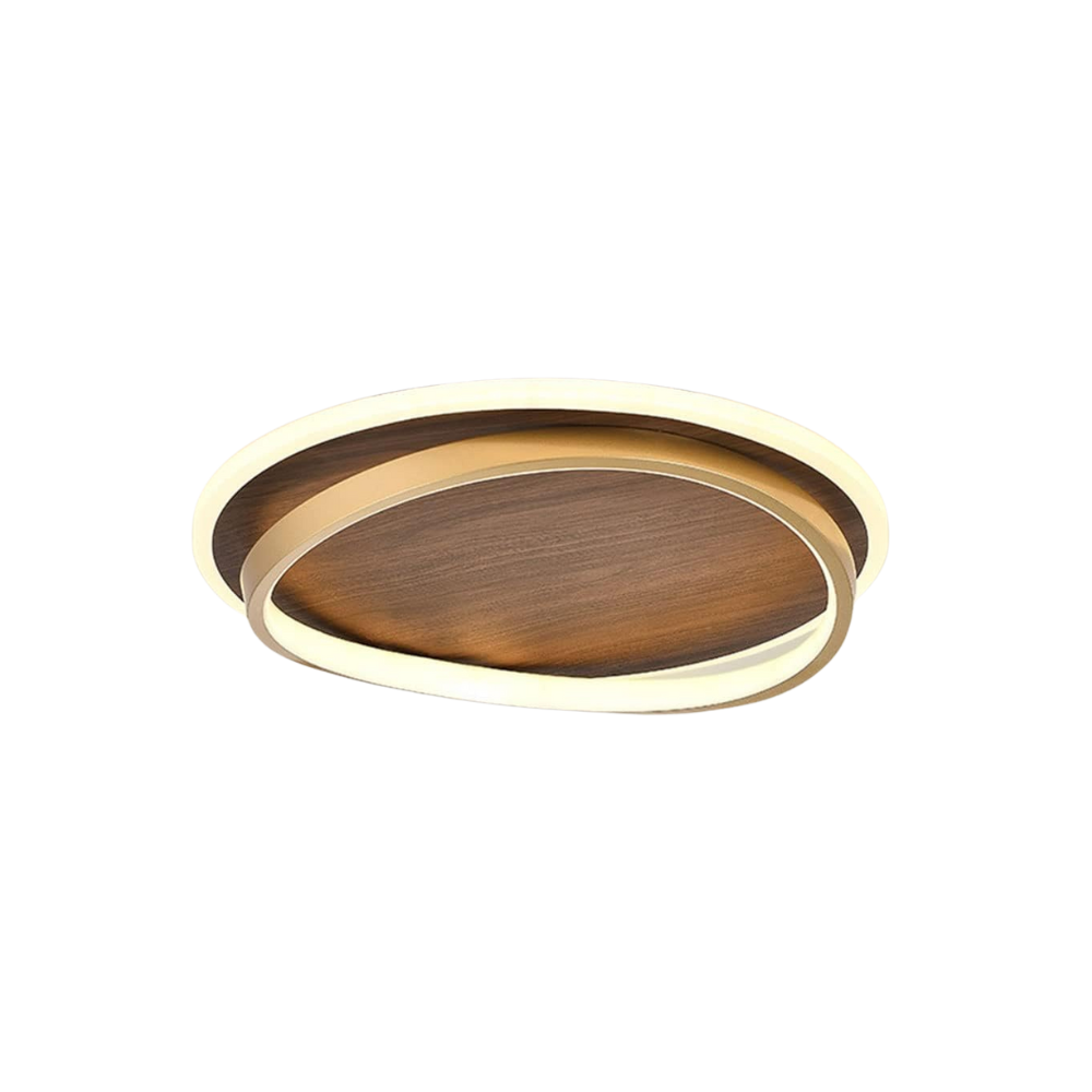  Ceiling Light