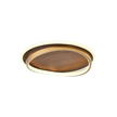  Ceiling Light