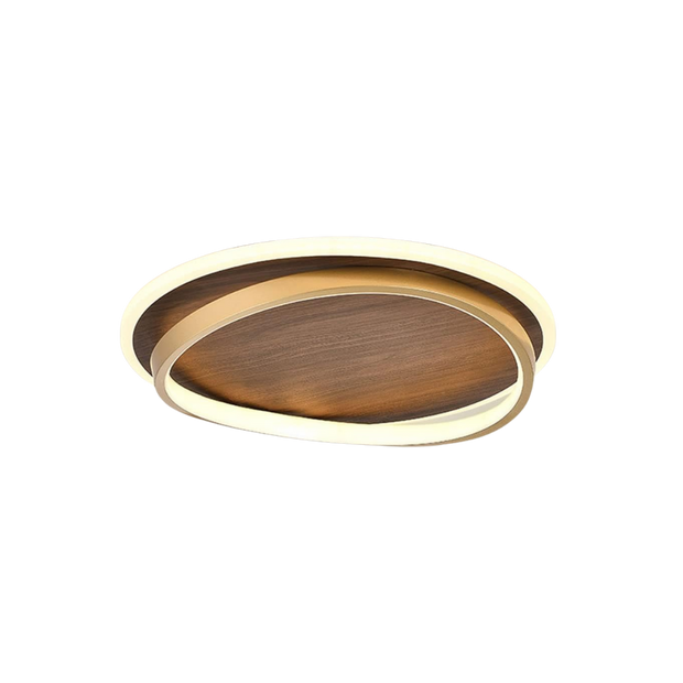  Ceiling Light