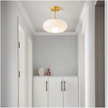 Modern Semi Flush Mount Ceiling Light