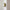 Modern round Ceiling Light