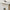 Modern Multi-Head Glass Pendant Light – Nordic Style Hanging Fixture