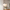 Nordic Style Pendant Hanging Light