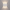 Wall Light