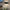 Garden Outdoor Wall Light