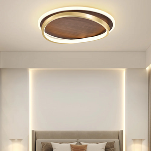  Ceiling Light