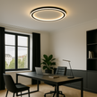 Dimmable LED ceiling light Elegant lighting for the living room, dining room and hallway
