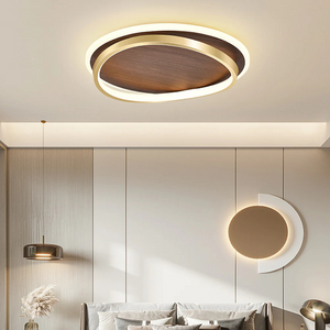 Ceiling Light