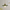 Stylish Pendant Light Hibiscus Flower Lamp