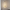 Wall Light