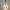 Wall Light