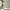 Nordic Style Pendant Hanging Light