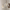 Vintage Brass Glass Chandelier