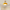  Ceiling Light