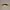 Modern Minimalist LED Chandelier