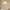 Cream Petal Fabric Chandelier LED Pendant Light