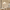 Cream Petal Fabric Chandelier LED Pendant Light