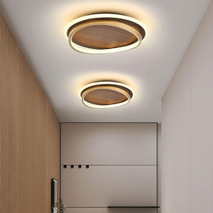 Modern Dimmable LED Ceiling Light – Adjustable Brightness & Color Temperature