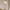 Cream Petal Fabric Chandelier LED Pendant Light