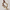 Vintage Brass Glass Chandelier