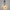 Nordic Style LED Wall Lamp