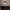 Ceiling Lamp