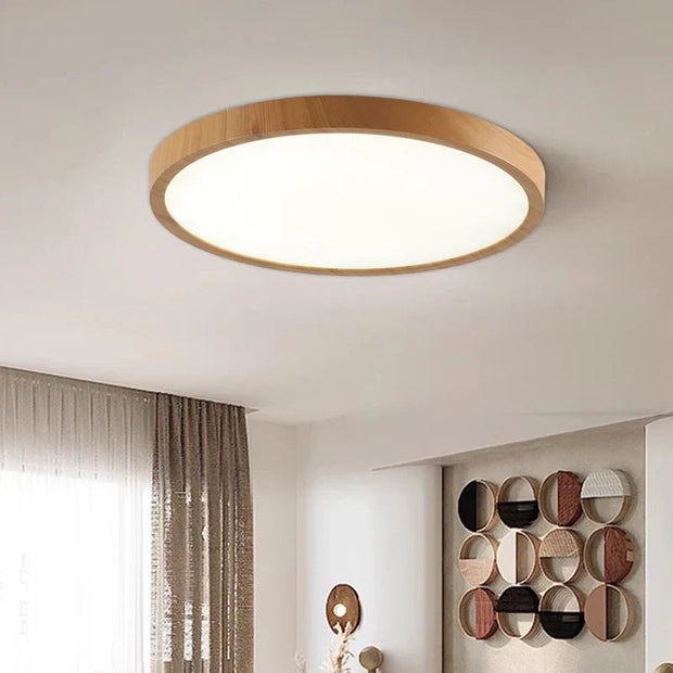 Modern Circular Ceiling Light