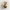 Cristal Smoke Glass Short Wall Sconce