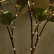 Twinkling Tree Fairy Light Olive Vine, Twinkling Tree Olive Vine, 6ft