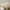 Ceiling Lights Flush Mount With Wood Accent Oval Shape Led