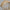Wooden lampshade with a wavy design on a gray background