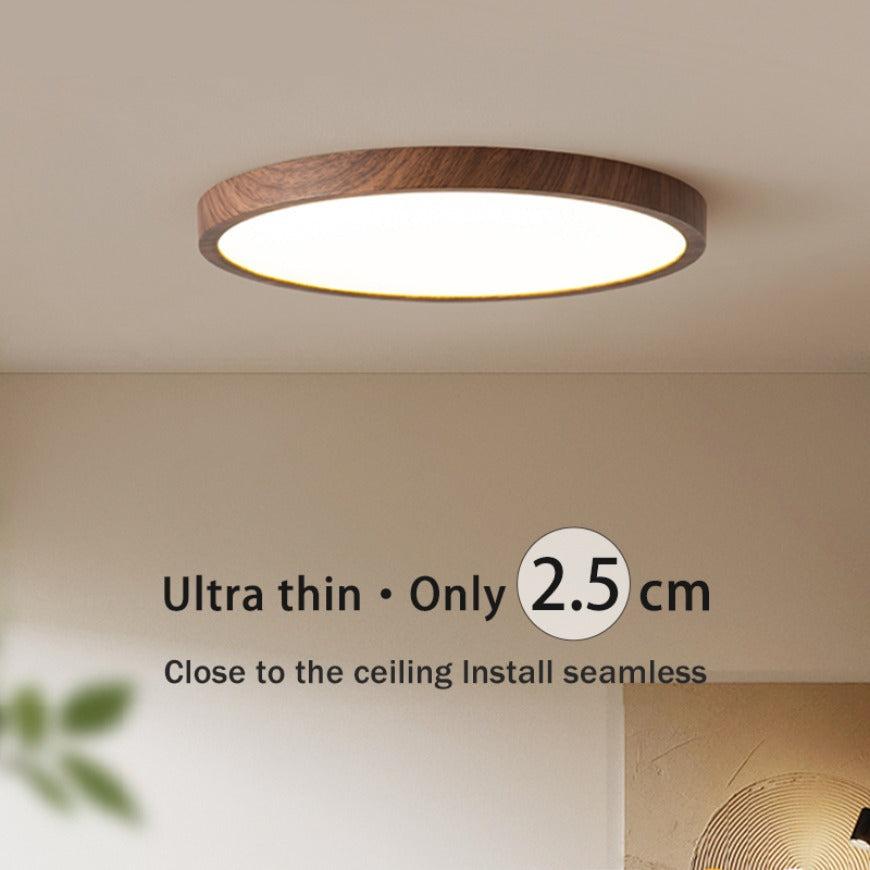 Modern Circular Ceiling Light