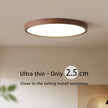 Modern Circular Ceiling Light
