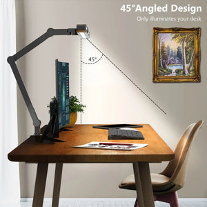 Adjustable LED Desk Lamp with Clamp