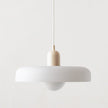 Pendant Light in Colored Glass