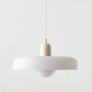 Pendant Light in Colored Glass