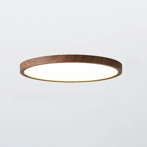 Modern Circular Ceiling Light