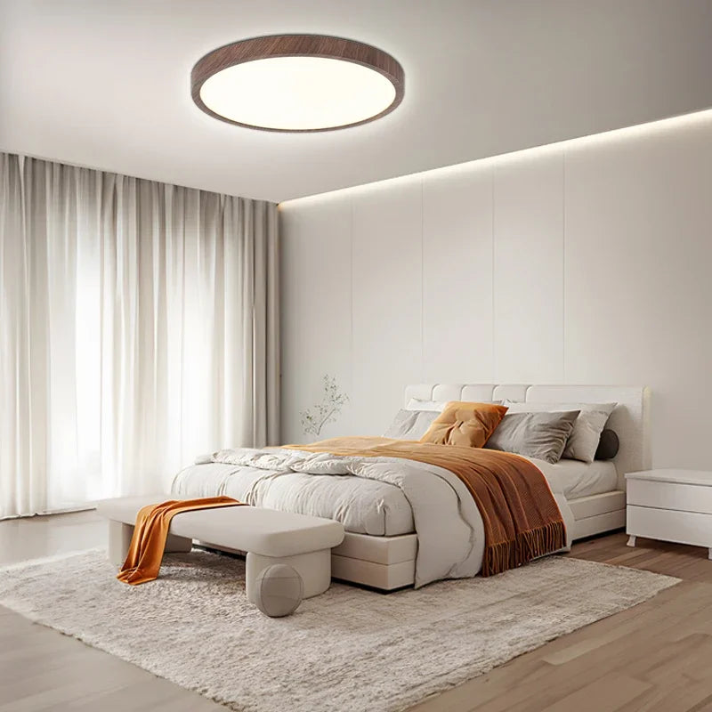 Modern Circular Ceiling Light