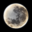 Modern Moon Shaped Wall Light