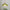 Vintage Pendant Light Glazed Floral Hanging Lamp