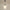 Vintage White Milk Glass Pendant Light