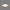 White Glass Pendant Light